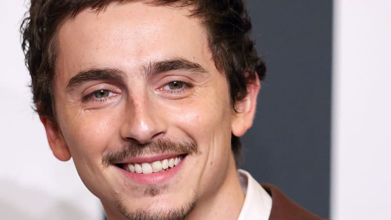 Timothée Chalamet se ve involucrado en correos del caso Epstein mientras persigue su sueño del Oscar. ¿Qué tan cierto es esto?